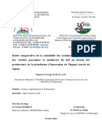 Original - Rapport Provisoire de Assoumaou BAH Et Hadizatou - Original REV BM