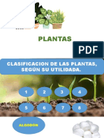 Clasificación plantas uso
