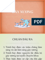 B2 - Gãy Xương