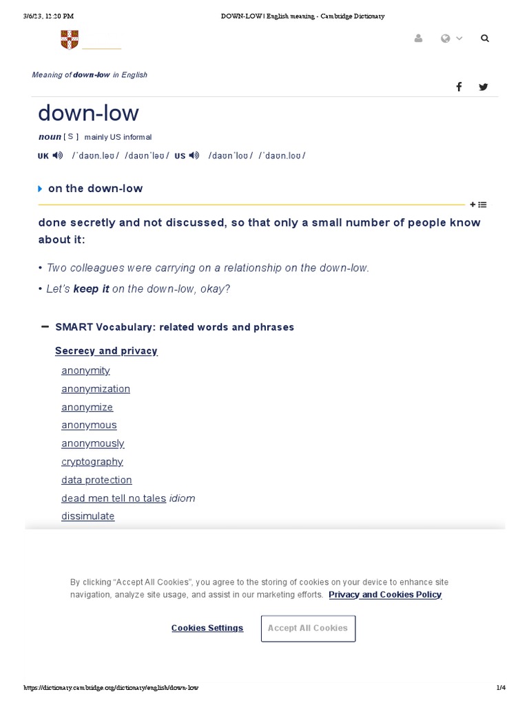 DOWNLOW English Meaning Cambridge Dictionary PDF Http Cookie
