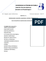 Formato de Registro Microscopico Pararitologia