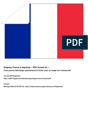 Drapeau France Format A4 | PDF