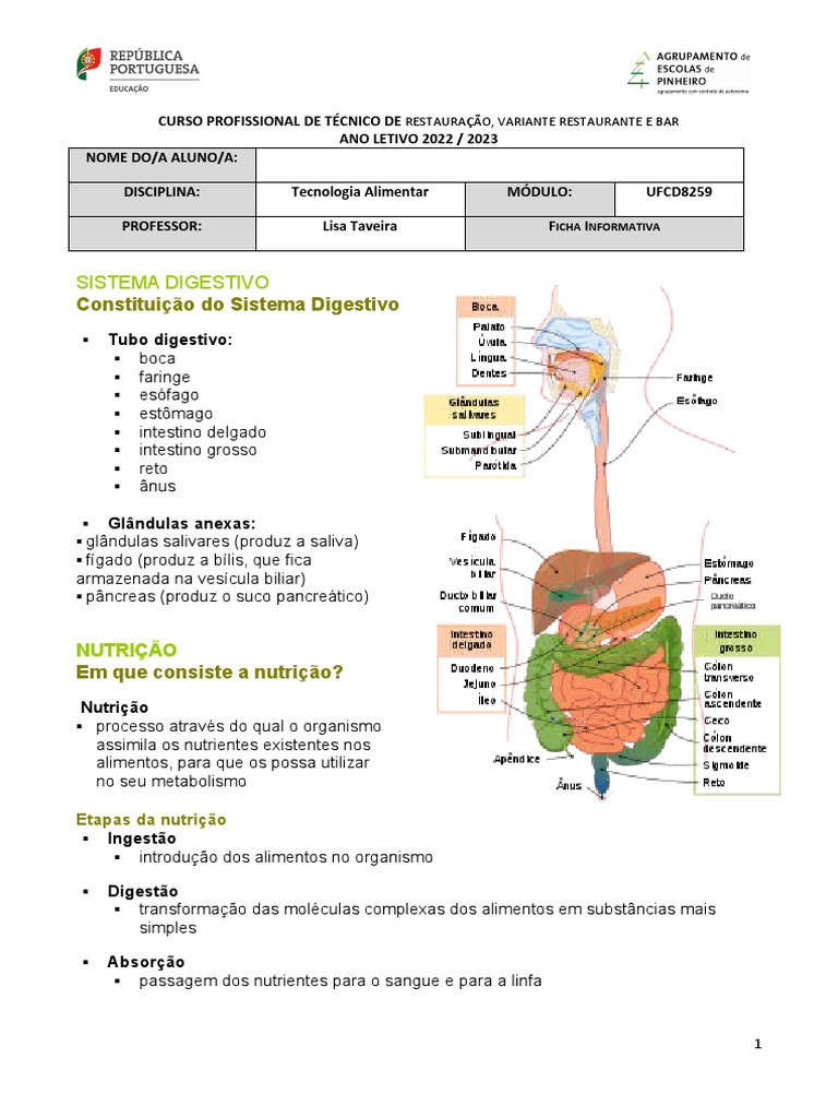 Estrutura e Função do Sistema Digestivo | PDF | Digestão | Sistema ...