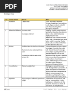 PEE Paragraphs English | PDF