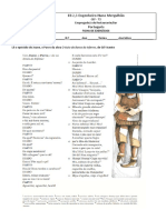 Ficha de exercícios sobre O Auto da Barca do Inferno