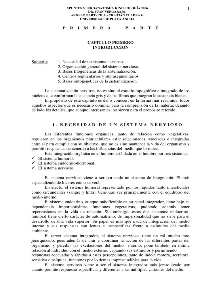 Medula Espinal Pdf Médula Espinal Neurona