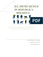 Studiul Pietei Muncii Din Republica Moldova PBL