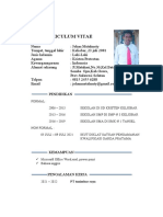 Curriculum Vitae