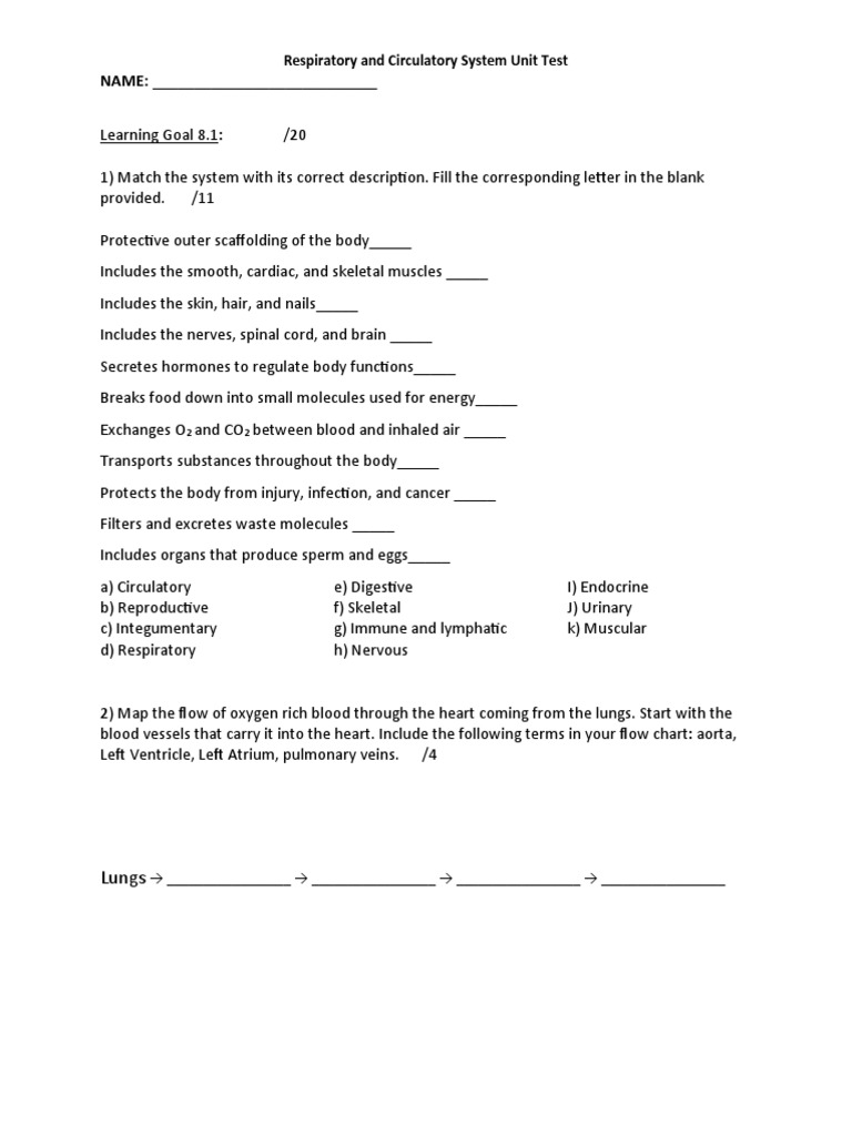 Systems Unit Test Written Portion PDF Human Body Heart