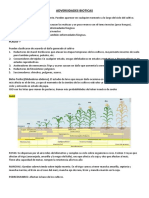 Adversidades Bioticas