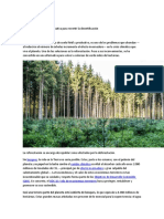 REFORESTACIÓN