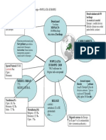 Lectie Schita Populatia Europei