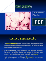 Células adiposas e suas funções