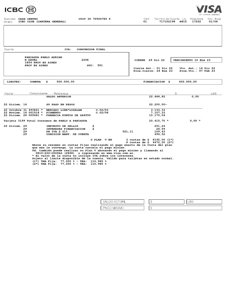 Resumen PDF Visa Inc. Bancos