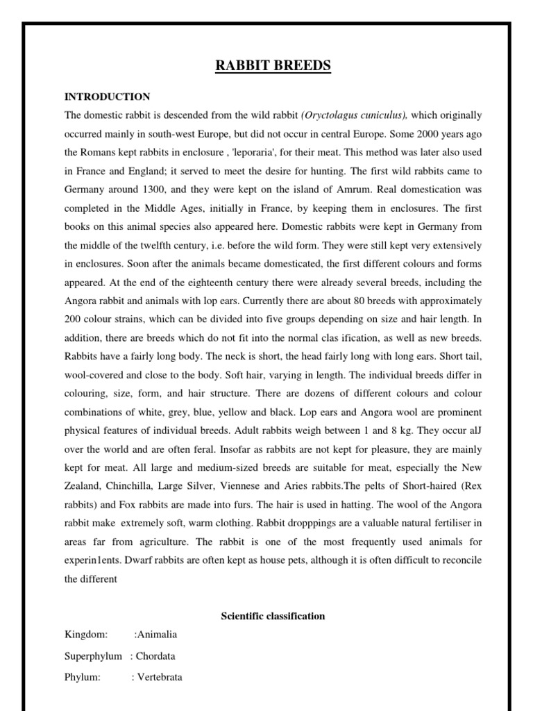 Comprehensive Guide to Rabbit Breeds | PDF | Inbreeding | Rabbit