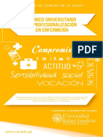 Tecnico Universitario en Profesionalizacion en Enfermeria 16621 210616131202