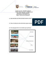 Examen 2do Quimestre Segundo Sociales