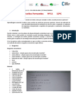 Ciclo de Cobre - Iara Fernandes - Nº11 - 12ºC