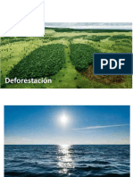 Deforestación: Pulmón del planeta en peligro