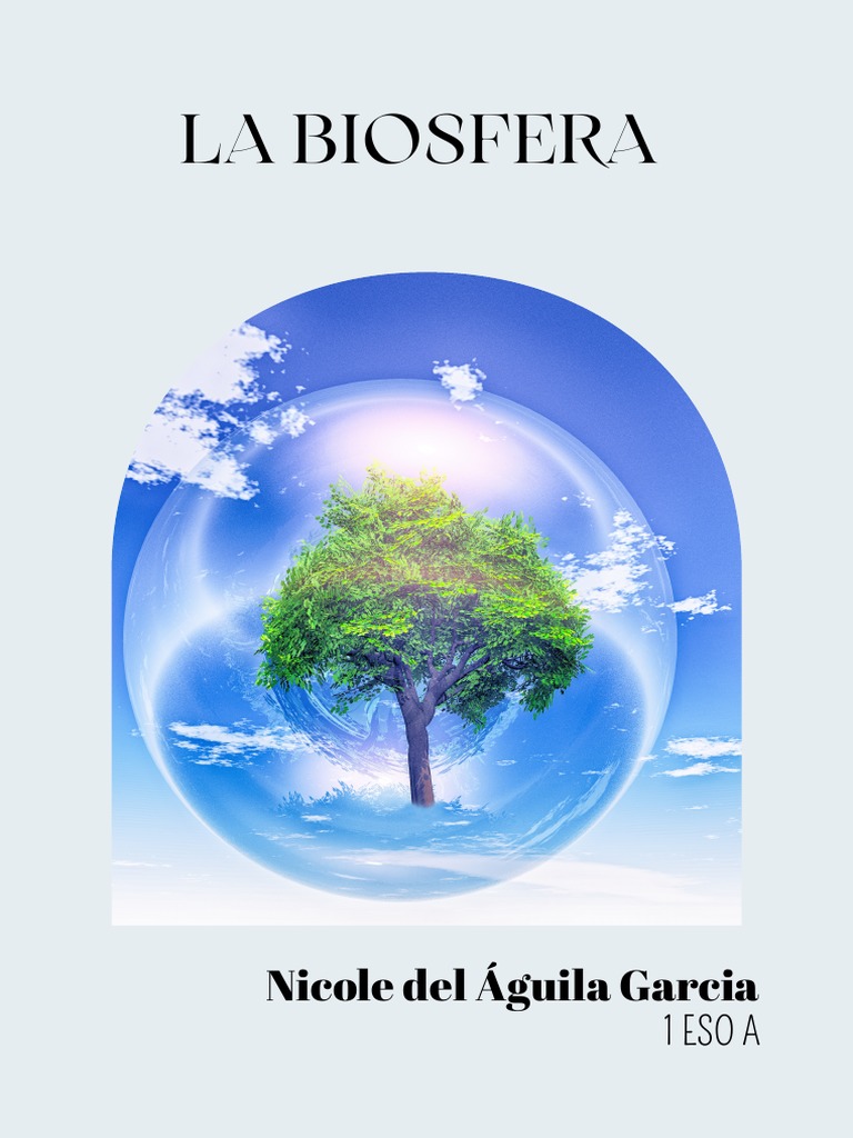 Portades Assignatures | PDF