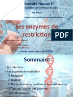 Les Enzymes de Restriction