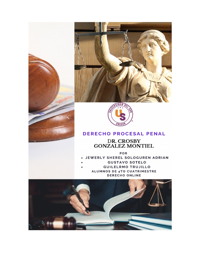 Analisis de La Reforma Constitucional Del 2008 | PDF | Derecho penal ...