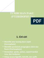 Pteridophyta