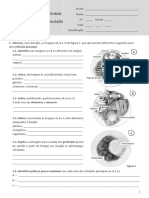 Ctic6 20 21 Teste1