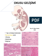 Kas Dokusu Gelişimi