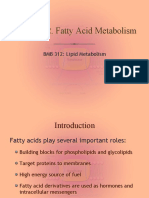 Fatty Acid Oxidation 312