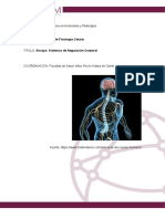 Retroalemntacionpositiva y Negativa