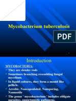 Mycobacterium tuberculosis Cell Wall