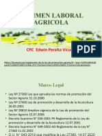 Regimen Laboral Agricola