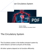 The Human Circulatory System: Teacher: D.Bleau School: ST Anthony's Secondary School