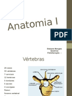 Anatomia I - Prática