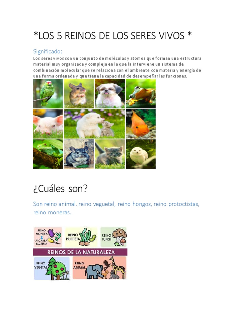 Los 5 Reinos de los Seres Vivos | PDF | Hongo | Plantas