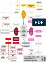 Mapa Mental - Guia de Manejo de Anticipos..