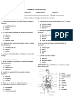 Examen del sistema digestivo humano con 10 preguntas