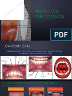 1 Anatomía Periodontal 5