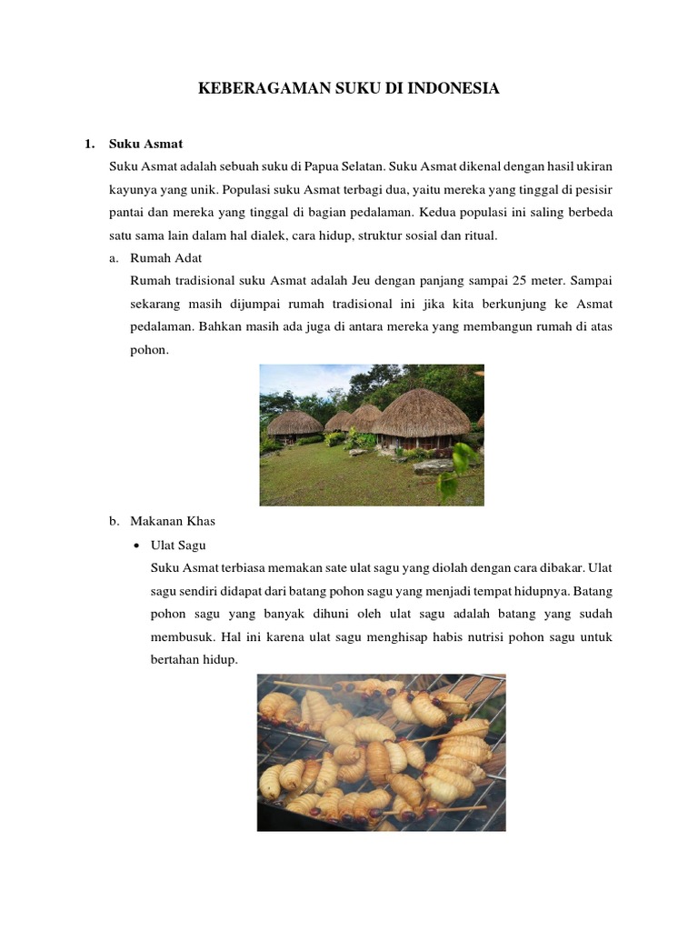 Keberagaman Suku Di Indonesia | PDF