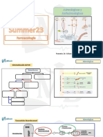 Workbook MB Adrenérgicos