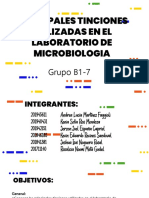 Laboratorio Tinciones B1-7