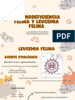 Inmunodeficiencia (Fiv) y Leucemia Felina