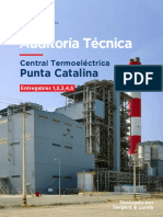 Auditoria Tecnica Forense de La Central Termoelectrica Punta Catalina