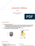 Exposición Rábica