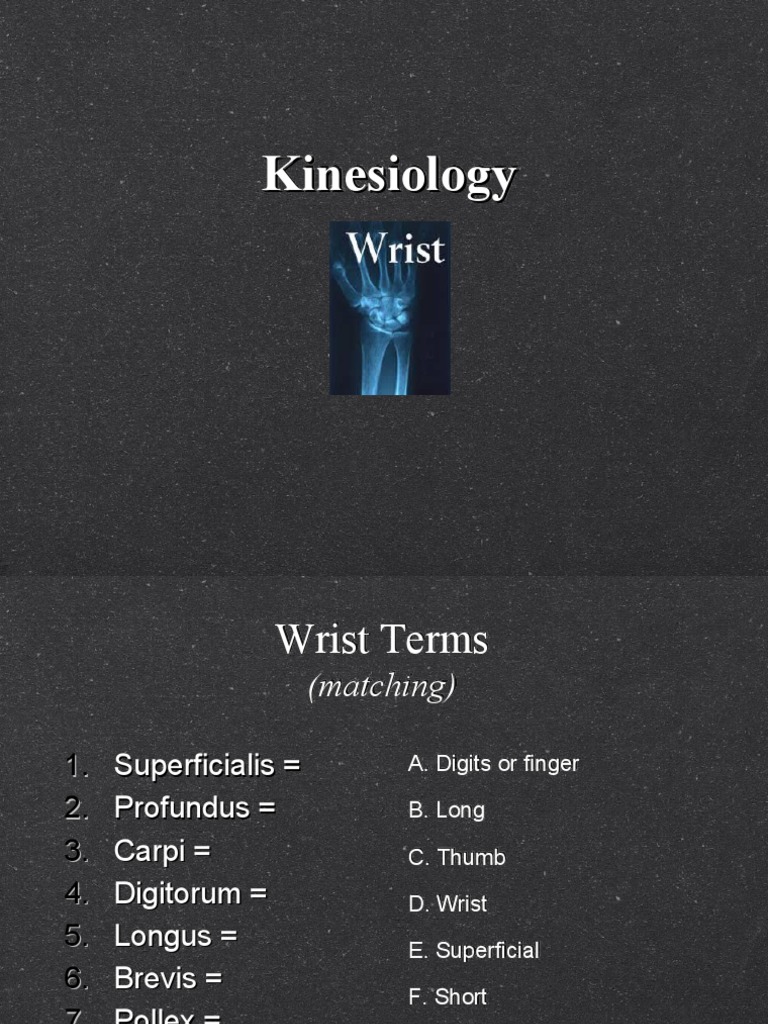 Kinesiology of Wrist and Hand | PDF | Anatomical Terms Of Motion | Thumb