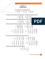 Practica 3 Determinantes