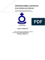 Laporan Praktik Kerja Lapangan TKJ PDF-1