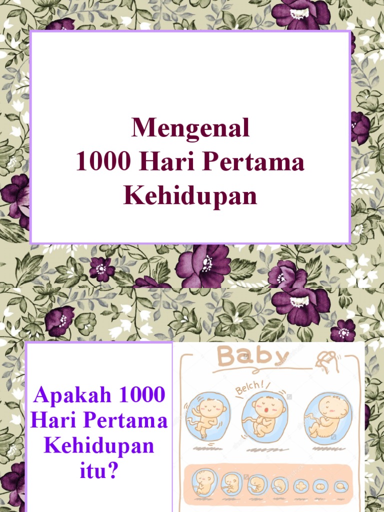 Mengenal 1000 Hari Pertama Kehidupan | PDF