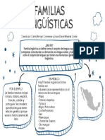 Organizador Gráfico